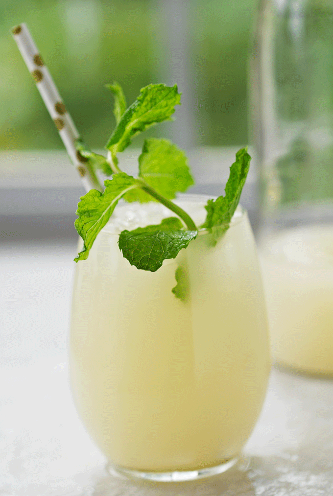 homemade ginger beer