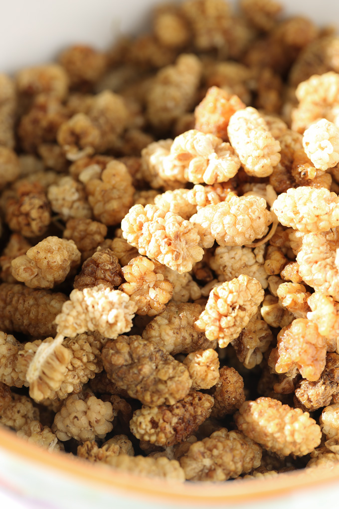 MULBERRY CEREAL WITH FRESH FRUIT