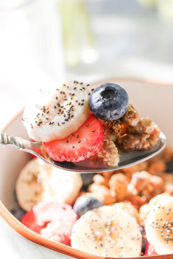 MULBERRY CEREAL WITH FRESH FRUIT