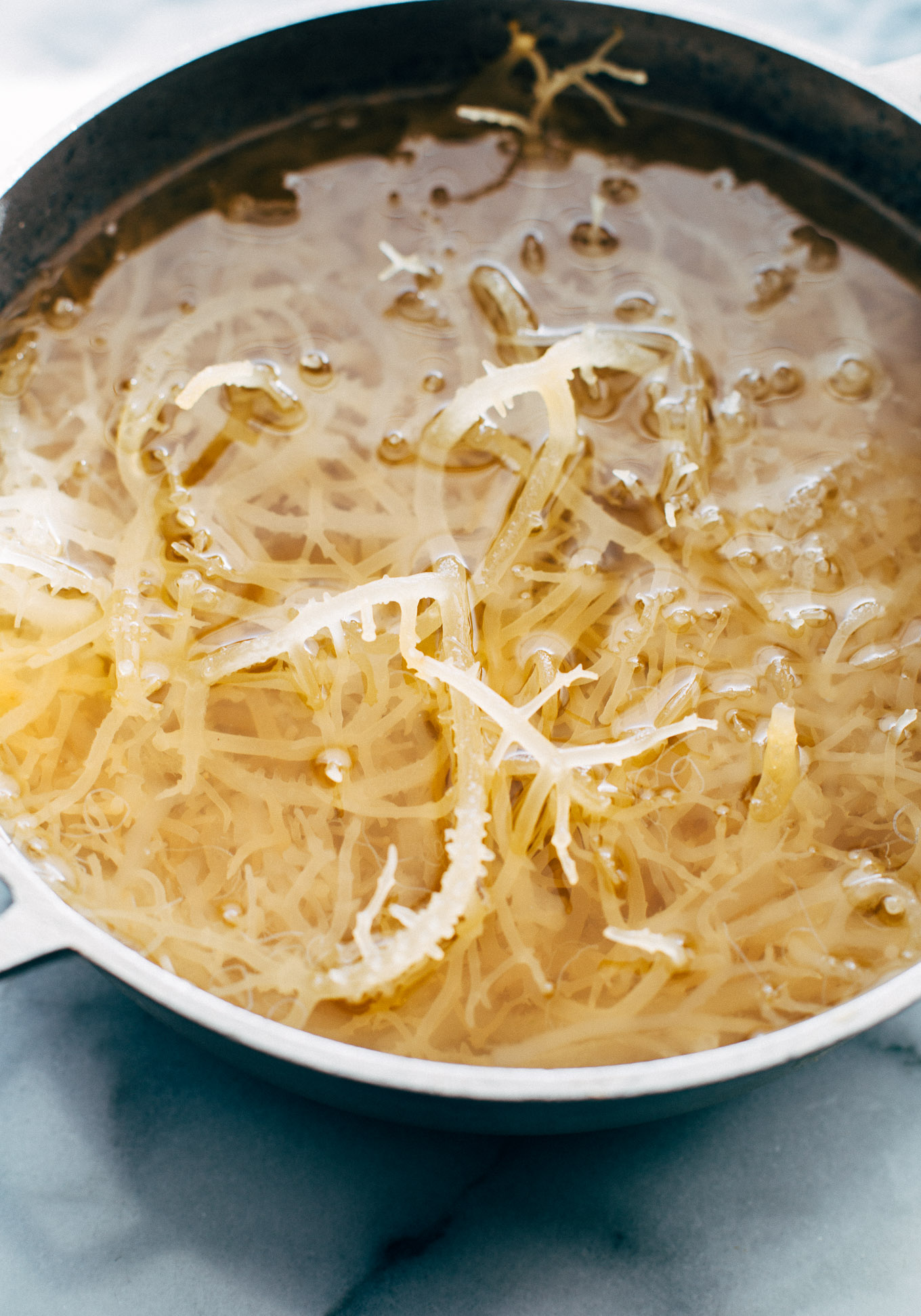 HOW TO PREPARE SEA MOSS