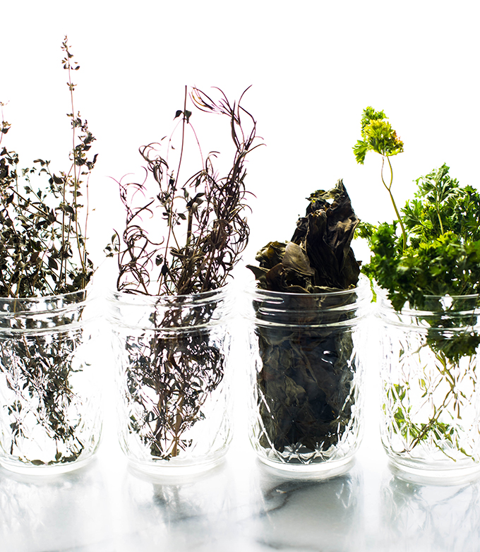 how to preserve herbs