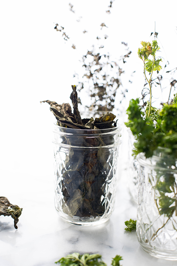 how to preserve herbs