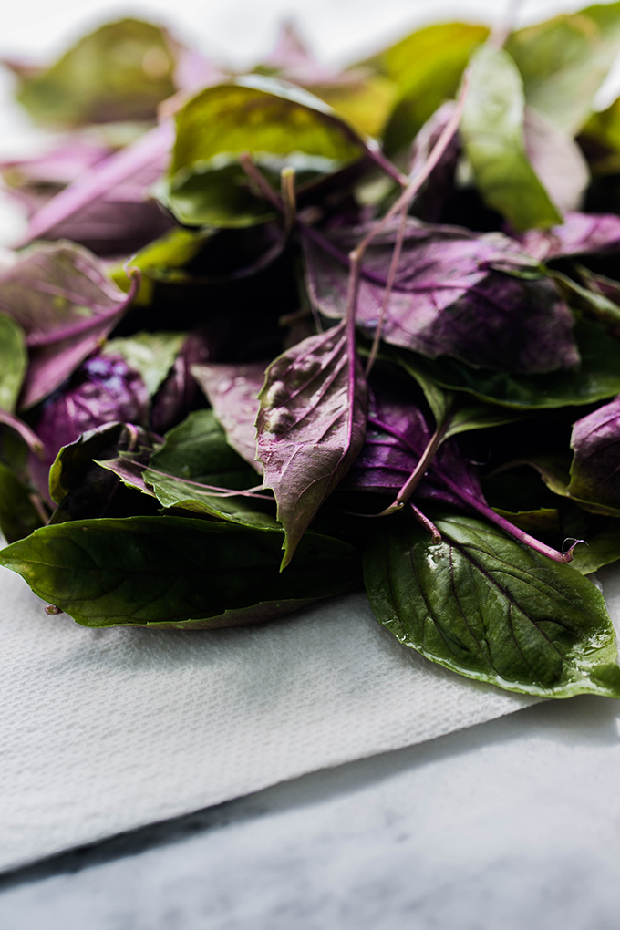 garden fresh basil