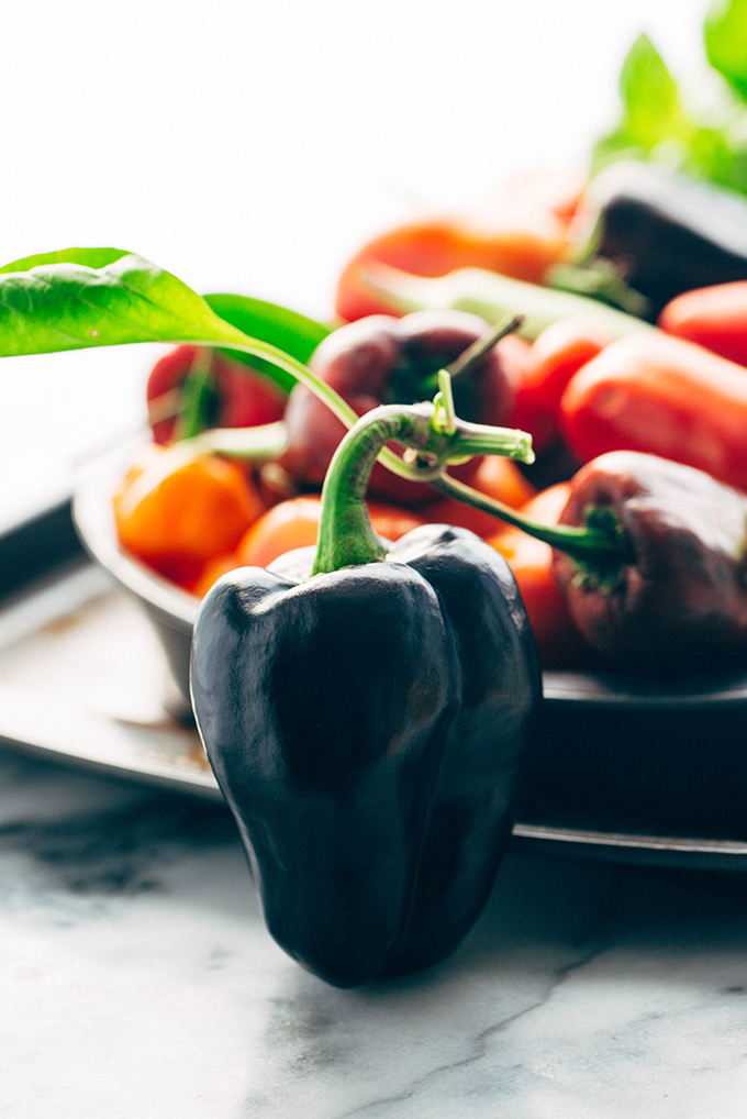 zulu black bell pepper