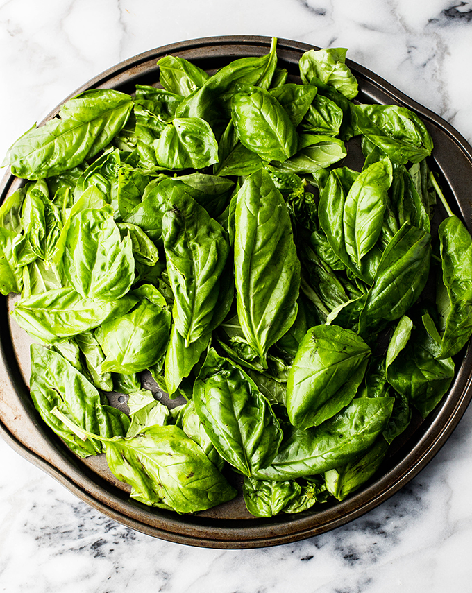 fresh basil on a tray